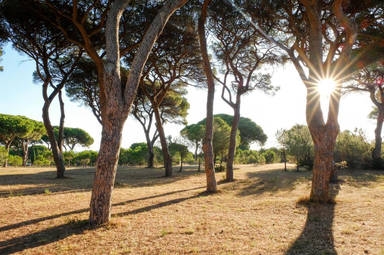 Residence La Canova II Marina di Grosseto Exterior foto