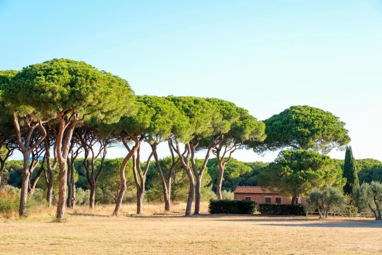 Residence La Canova II Marina di Grosseto Exterior foto